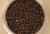 rapeseed360x245.jpg